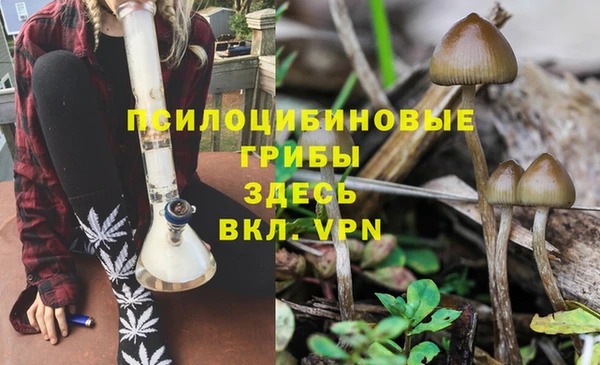 гашик Алзамай