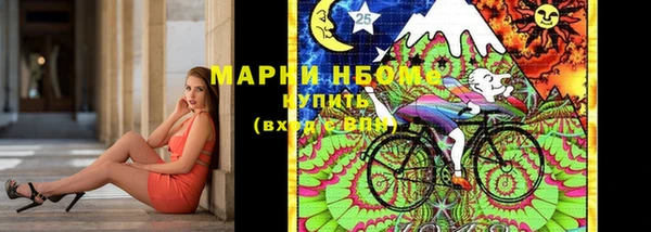 гашик Алзамай