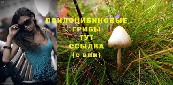 молекула духа Алексин