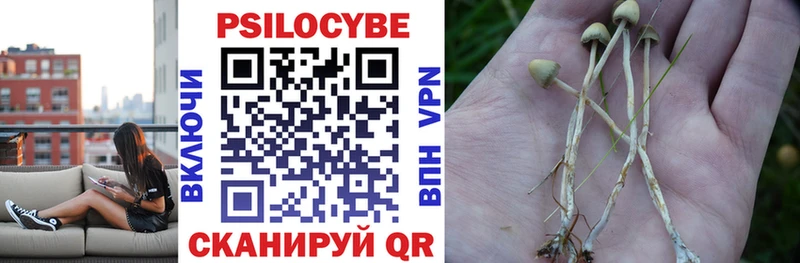 где найти наркотики  Красноярск  Псилоцибиновые грибы Psilocybine cubensis 
