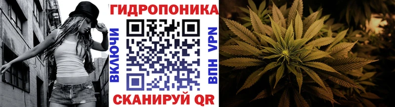 Каннабис Bruce Banner Красноярск